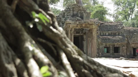 Pull-Focus Tree Roots Main Entrance Ta Prohm Stock Footage 42759605