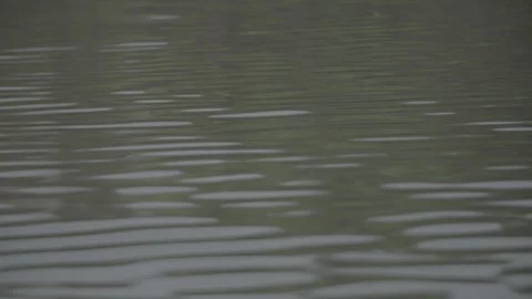 Pull focus of water ripples on the surface of a river Video stock 244864798