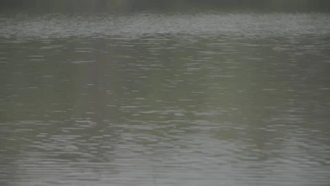 Pull focus of water ripples on the surface of a river Video stock 244864969