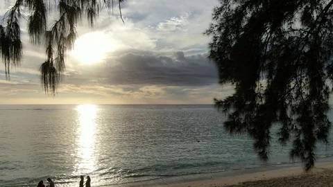 Pull in opening shot of sunset ocean lagoon camera moving through tree branches Video stock 120426689