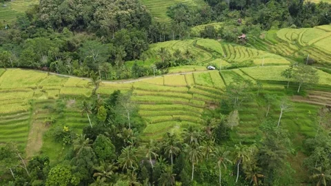 Pull out and tilt up landscape 스톡 동영상 329867046