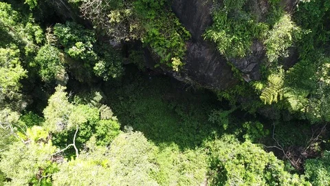 Pull Out Ascending from  a forest Aerial Video 4K Stock Footage 96774588