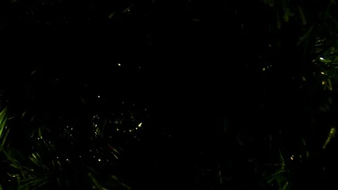 A pull out of the Christmas tree revealing the beautiful lights and Stock Footage 100054046