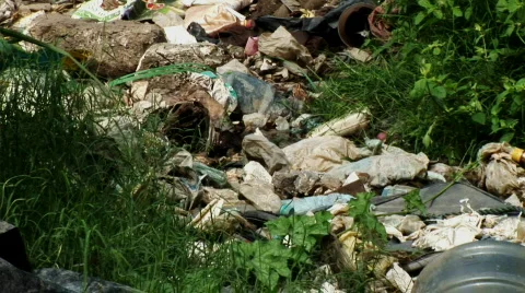 Pull Out of Dump Rubbish-Favela Brazil Видео 561024