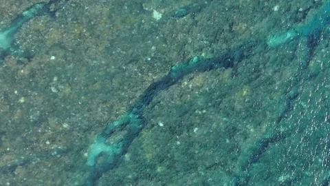 Pull out shot of clear reef ocean waters with coral bottom Video stock 120426580