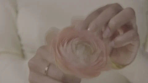 Pull Petals1 Stock Footage 145084047