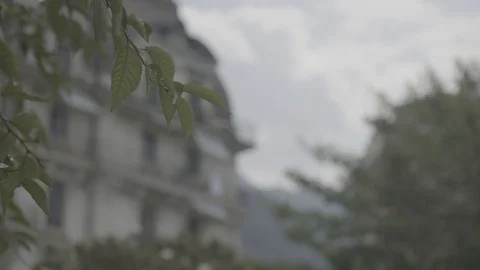 Pull rack focus from leaf to Swiss house in Montreux Video stock 123474331