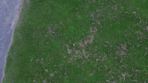 Pull up shot of Cullercoats Bay 스톡 동영상 249762637