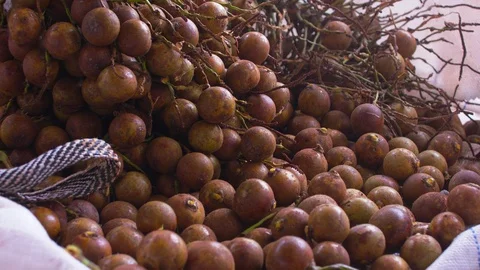 Pull in shot over coyol palm tree fruits, stocked, piled up in white nylon Stock Footage 101690698
