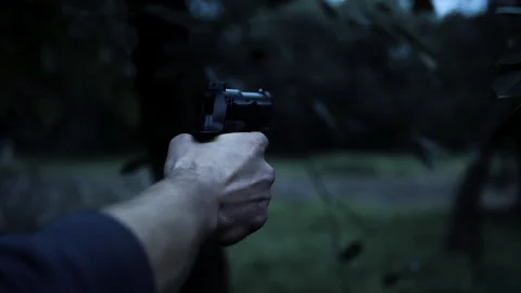 Pull the trigger of the gun. Aim at the gun. Video stock 208516329