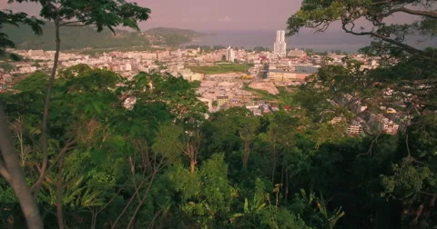 Pullback Aerial Drone Shot Through Trees Above Patong City In Thailand Video stock 64208707