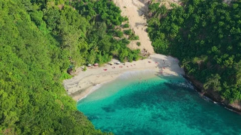 Pullback aerial over tropical beach cove and lush forest Stock Footage 331748882