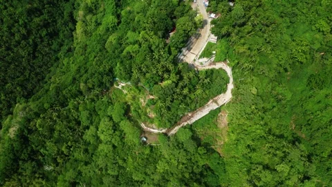 Pullback aerial reveal of resort gardens and tropical environment with mountain Stock Footage 336705299