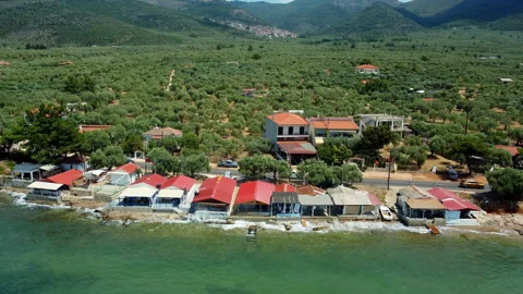 Pullback Aerial Revealing Coastline Olive Groves and Mountains 库存影片 337641122