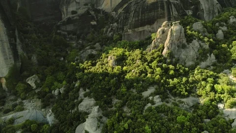 Pullback aerial shot beautiful green dense forest trees and plants surrounded by Stock Footage 95502435