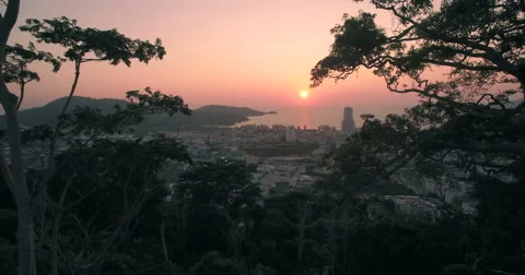Pullback Aerial Shot Between Trees in Patong Bay Phuket Thailand Video stock 63068681
