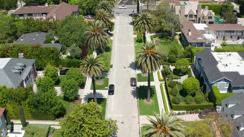 Pullback cinematic shot of palm trees of Los Angeles California top down view Stock Footage 273894343