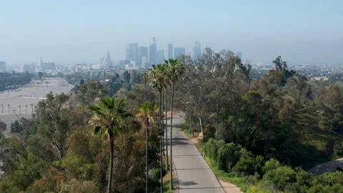 Pullback establish scenic shot of Elysian Park palm trees and downtown LA Stock Footage 273833865
