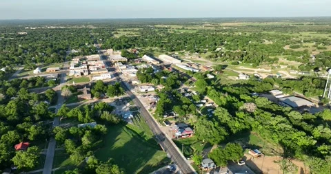 Pullback flight viewing lots of trees around a small downtown area Stock-Footage 335671441