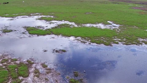 Pullback over Flamingos Lake Stock Footage 186083552