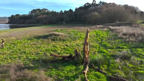 Pullback Over Nature And A Man With Tripod Camera. Aerial Drone Shot Stock Footage 265441948