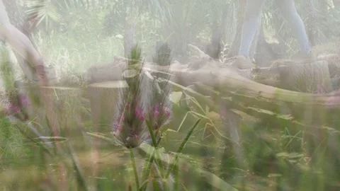 Pullback revealing trail sending two hikers with packs helping, flower overlay Stock Footage 333477887