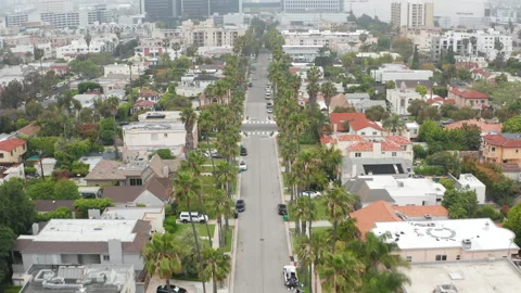 Pullback shot of Beverly Hills California top down view of palm trees and homes Stock Footage 273957221