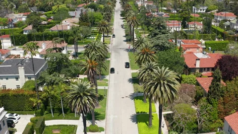 Pullback shot of pristine palm trees of Los Angeles California sunny day Stock Footage 273892065