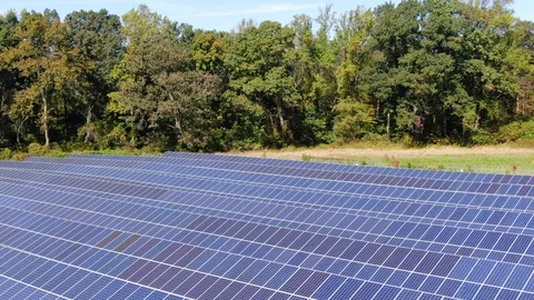 Pullback Shot of Solar Farm Panels Vídeo Stock 118689533
