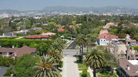 Pullback shot of sunny LA California with palm trees and wealthy houses Stock Footage 273887591