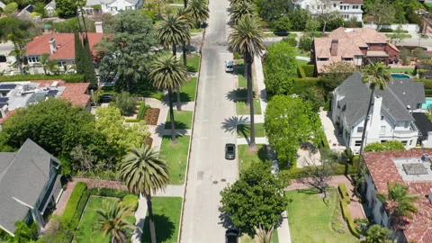 Pullback view of Los Angeles suburban area with lush palm trees Stock Footage 273902918