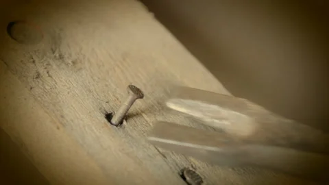 Pulled the old nails out of boards with a claw hammer Video stock 124558014