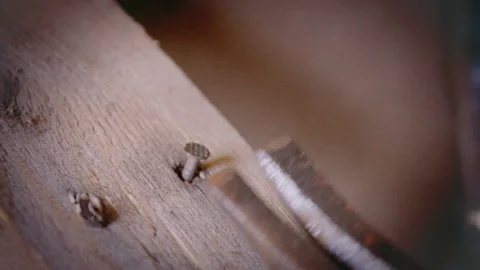 Pulled the old nails out of boards with a claw hammer Stock Footage 124559966