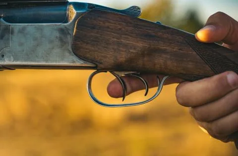 Pulled the trigger of the shotgun. Hunter with shotgun gun on hunt. Stock Photos