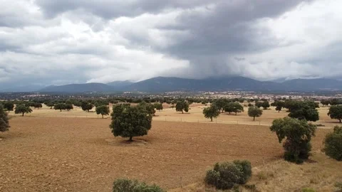 Pulling Away from a Summer Storm - 631 Stock Footage 308818040