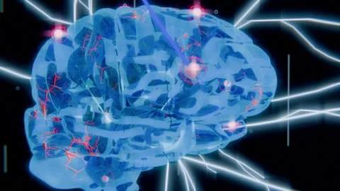 Pulling back camera revealing translucent brain in dark void, pulsing nodes and Stock Footage 339721977