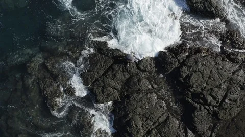 Pulling back on man and dog exploring rocks by the ocean Stock Footage 103344343