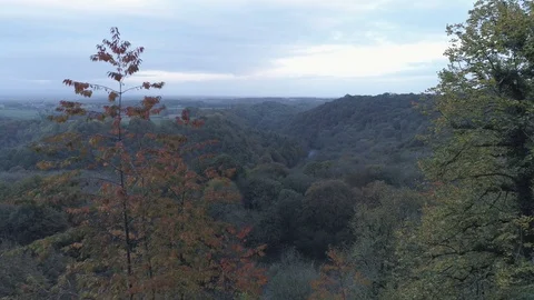 Pulling back into trees from viewing a valley, Hackwell, Drone, Yorkshire Stock Footage 93197288