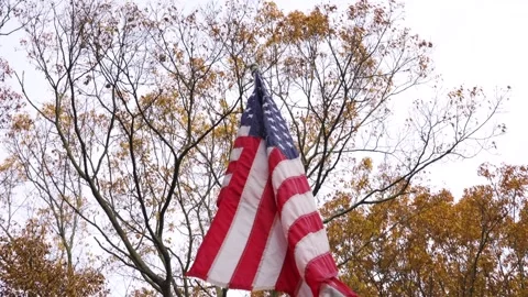 Pulling back while tilting down to level. Video stock 293471537