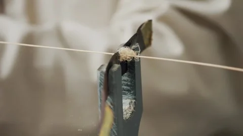Pulling Bamboo Filaments The First Step in Making Stock Footage 339080132