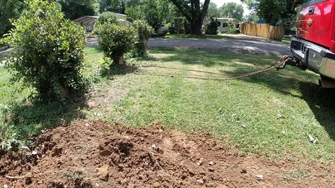 Pulling a bush out of the ground Stock Footage 108643324