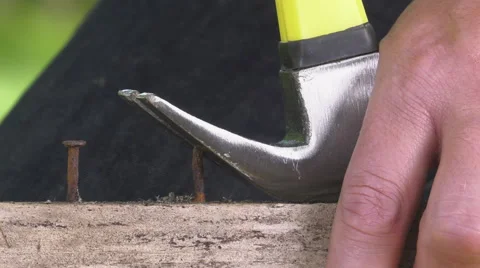 Pulling a carpenter nail with a hammer Stock-Footage 63506202