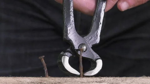 Pulling a carpenter tip with pliers 스톡 동영상 63506558