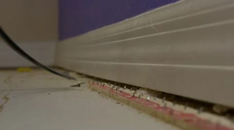 Pulling up carpet gripper with crowbar, 4K Stock Footage 59171265