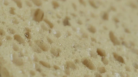 Pulling focus over abrasive sponge surface 4K video Stock Footage 174680365