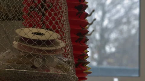Pulling Focus from Trees to Chinese Lantern Stock Footage 57267769