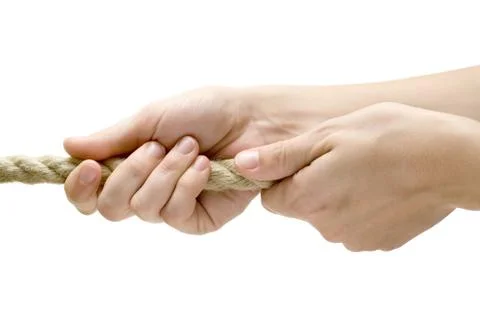 Pulling Near Isolated on a White Background 스톡 사진