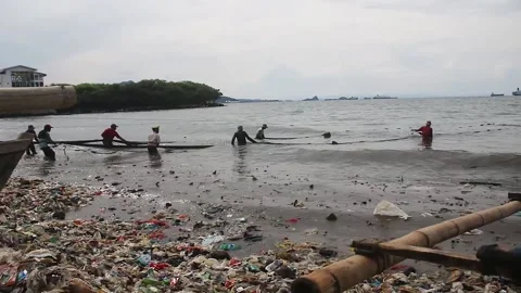 Pulling a net on the beach. Video stock 220755763