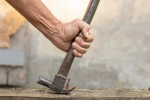 Pulling one bent nail out of a wooden board with a hammer, carpentry, worksho Stock Photos