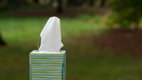 Pulling out many tissues Stock Footage 94594598